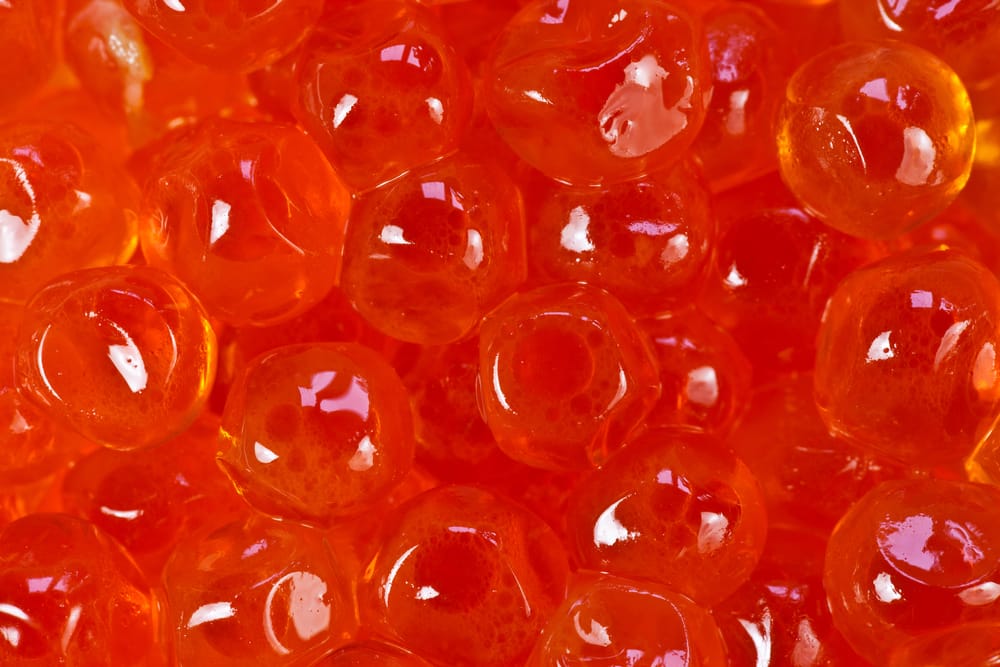 red caviar salmon roe