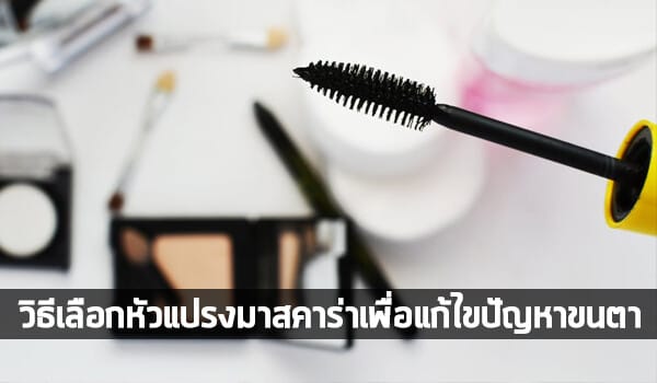 แนะนำขนแปรงมาสคาร่า