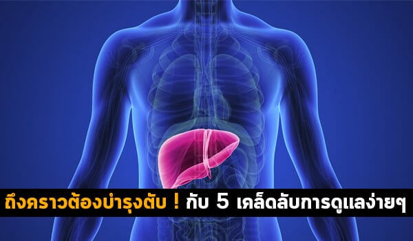 ถึงคราวต้องบำรุงตับ