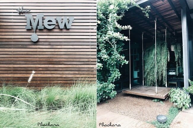 The Mew คาเฟ่สุดชิลล์ในเขาใหญ่