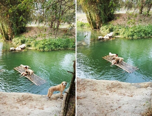 บ้านสุจิปุรี