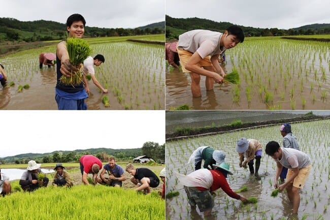 เฮินไตรีสอร์ท บ้านพักเรือนไม้แบบชาวไทใหญ่