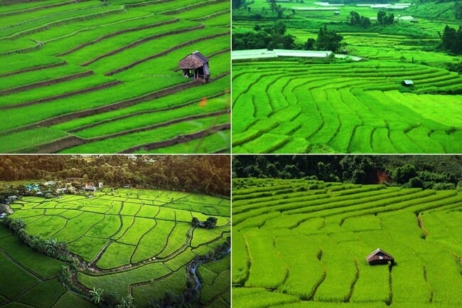 เฮินไตรีสอร์ท บ้านพักเรือนไม้แบบชาวไทใหญ่