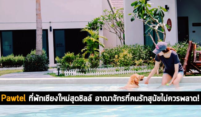 Pawtel Chiangmai