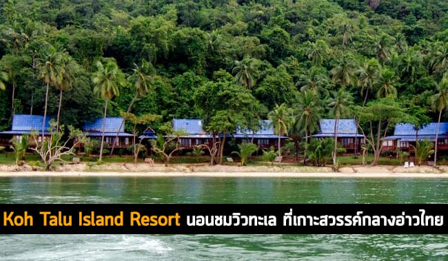 Koh Talu Island Resort ที่พักบนเกาะสวรรค์กลางอ่าวไทย