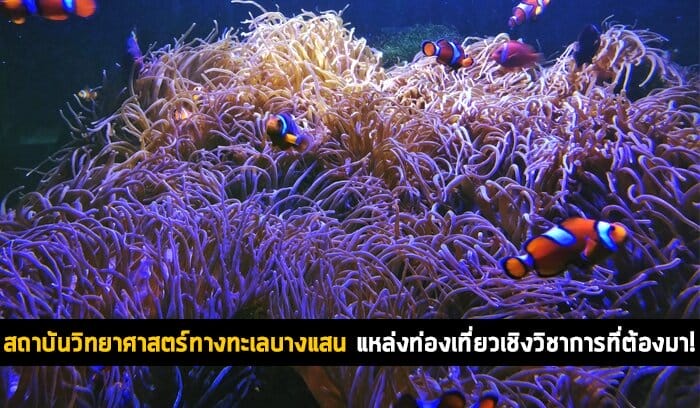 สถาบันวิทยาศาสตร์ทางทะเล 