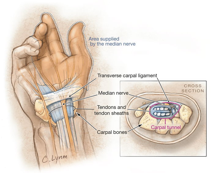 มือชานิ้วชาระหว่างวัน