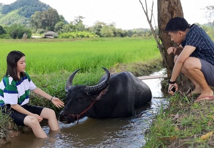 สาวน้อยร้อยล้านวิว