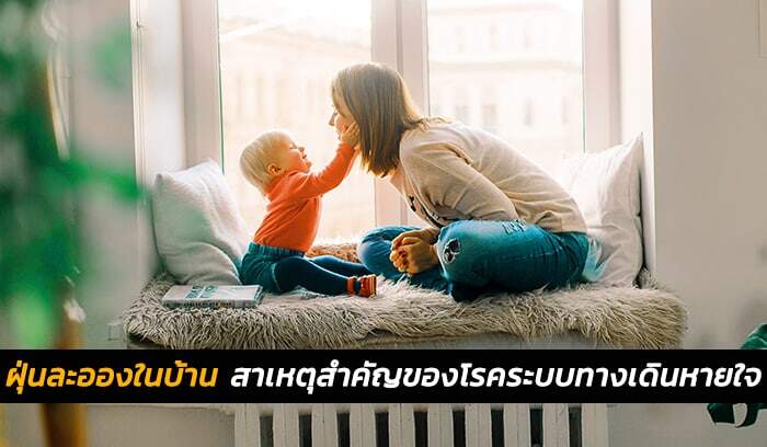 ฝุ่นละอองในบ้าน