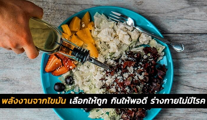 พลังงานจากไขมัน