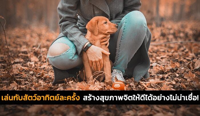 เล่นกับสัตว์อาทิตย์ละครั้ง