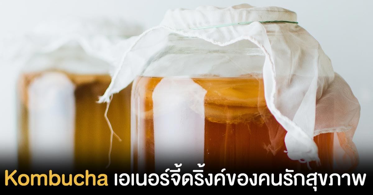 เครื่องดื่ม Kombucha